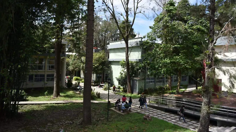 Universitarios 